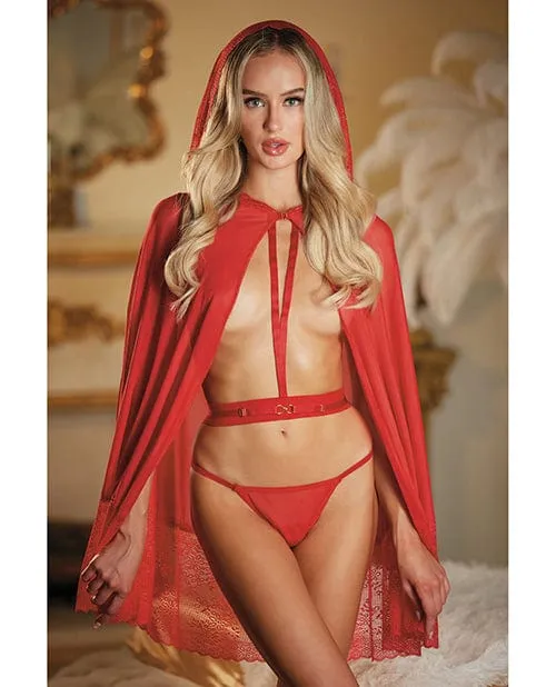 Allure Lace & Mesh Cape with attached Waist Belt (g-string Not Included) One Size Fits Most