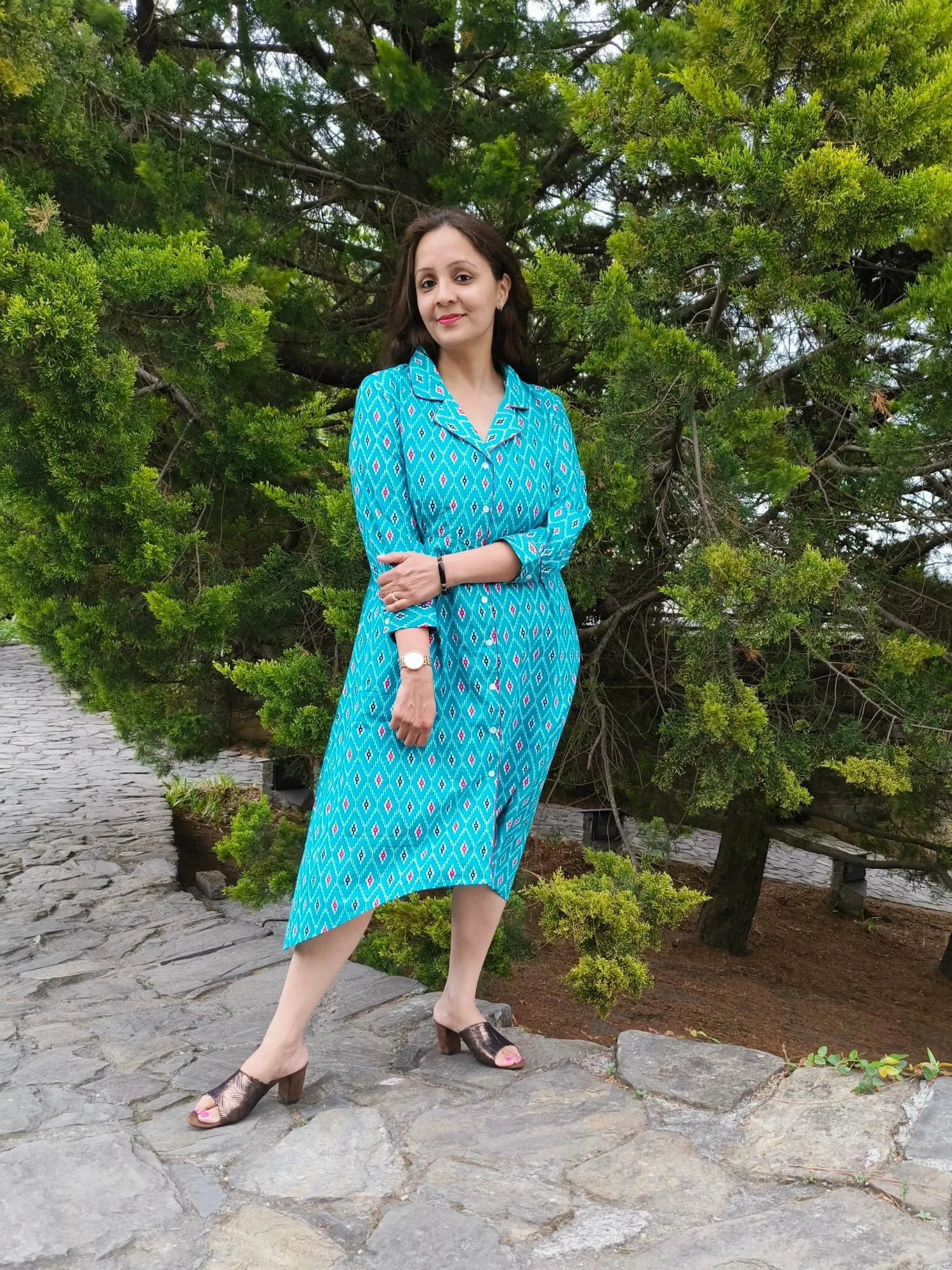 Anvesha Blue Cotton Dress