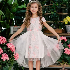 Floral Embroidered Knee-Length Dress, Size 3-10 Yrs