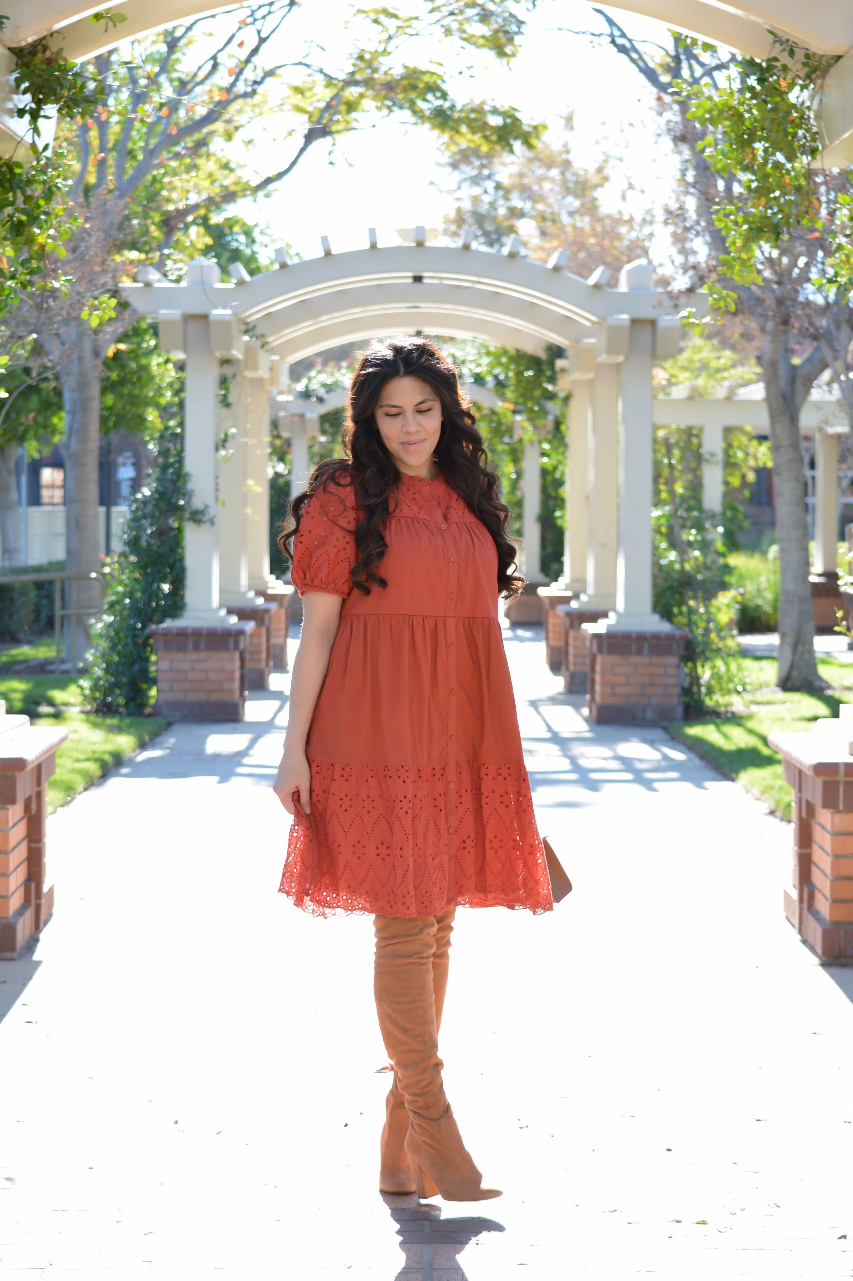 Luna Rust Cotton Eyelet Dress