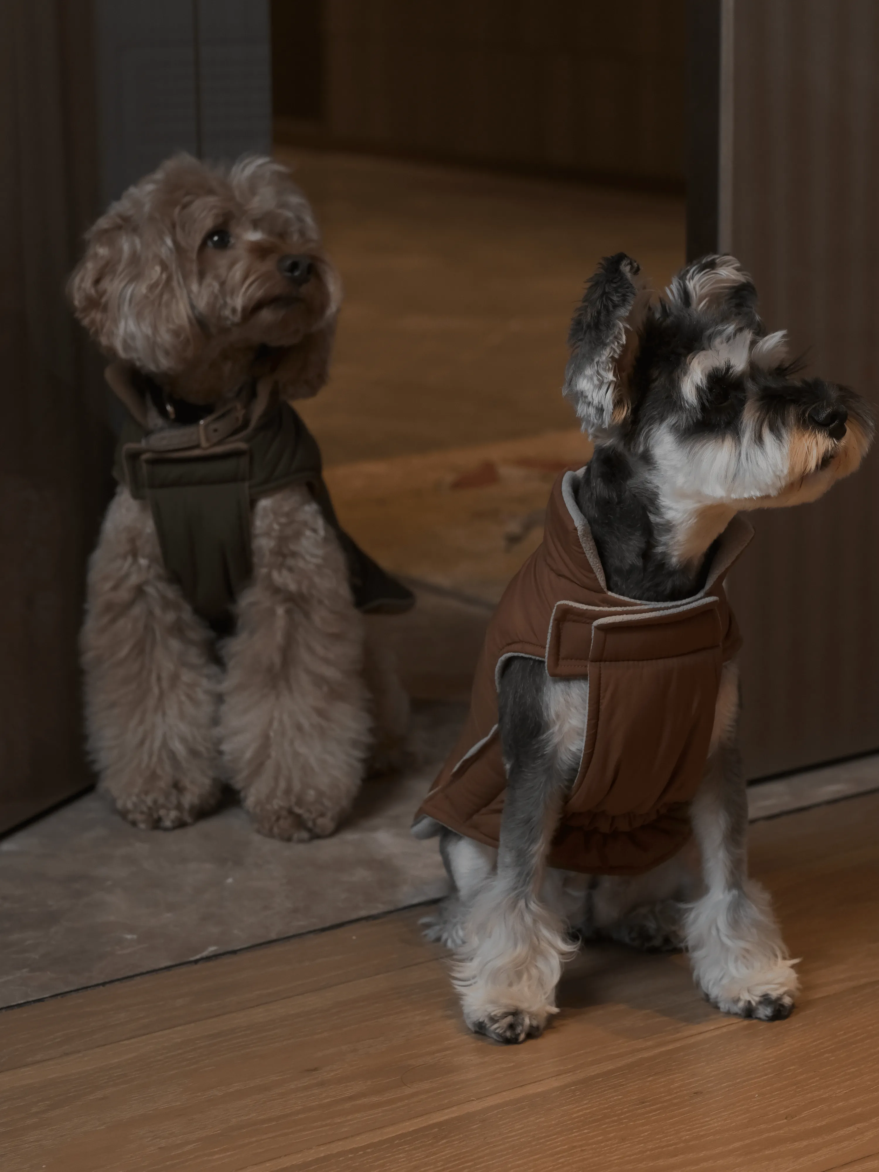 Reversible Dog Vest Jacket - Orange Grey