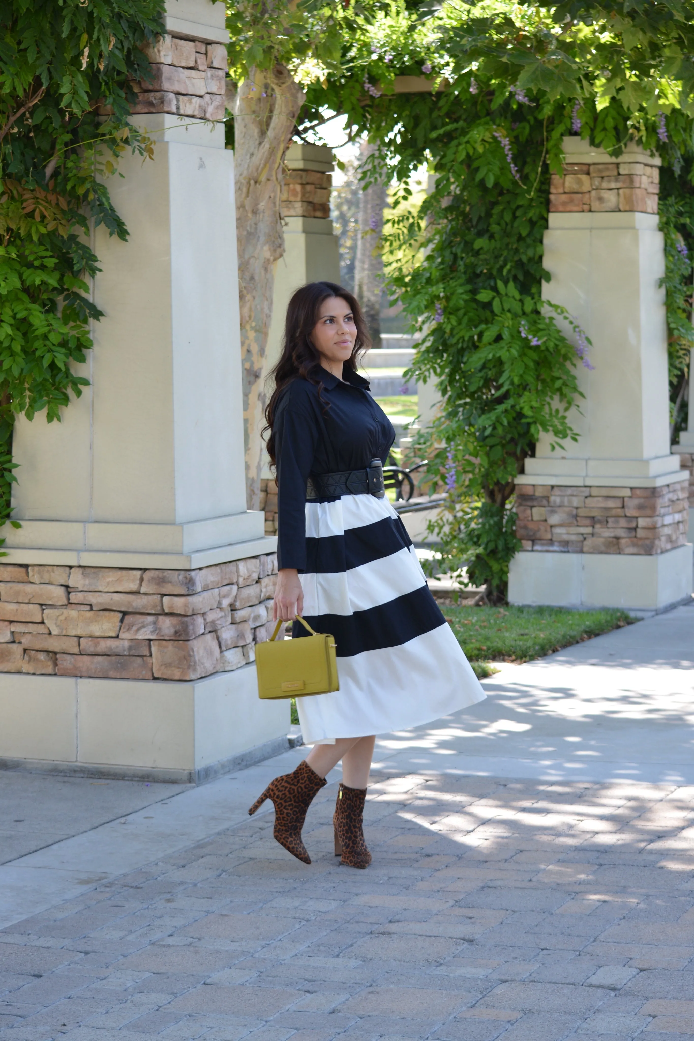 Zully Black Stripe Cotton Dress